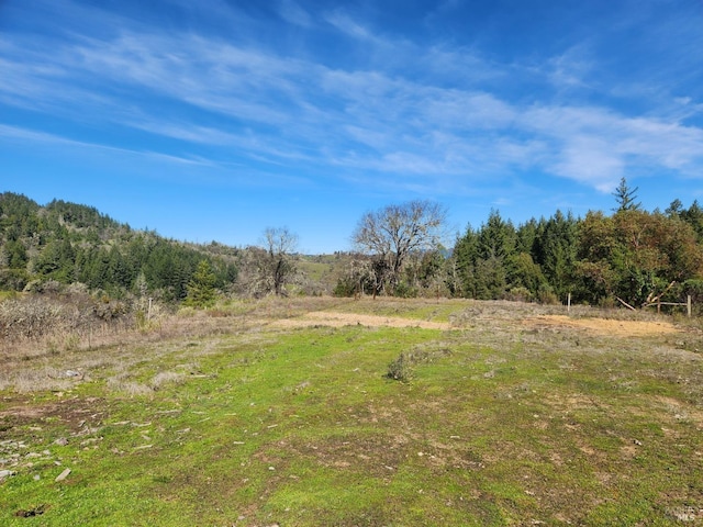 view of nature featuring a wooded view