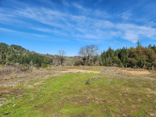 view of local wilderness featuring a forest view