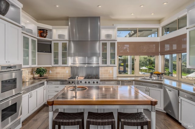 kitchen featuring a sink, ventilation hood, appliances with stainless steel finishes, plenty of natural light, and open shelves