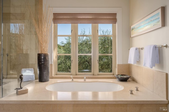 bathroom featuring a washtub