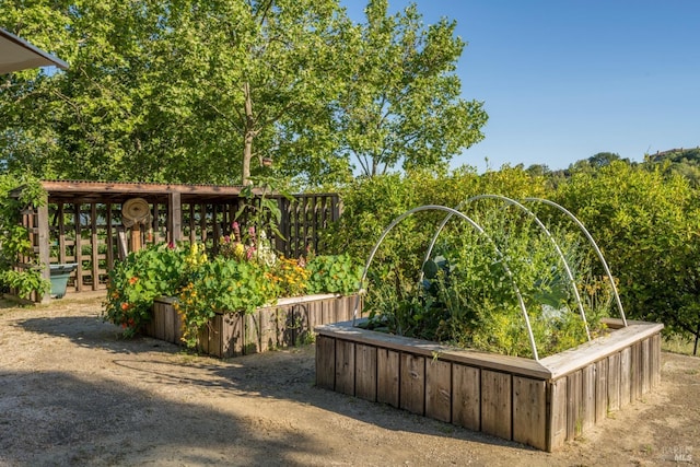 view of yard with a garden