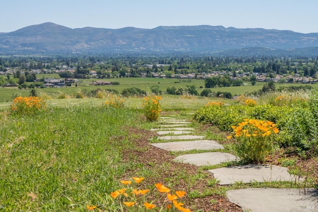 view of yard featuring a mountain view