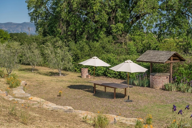 view of yard with a mountain view