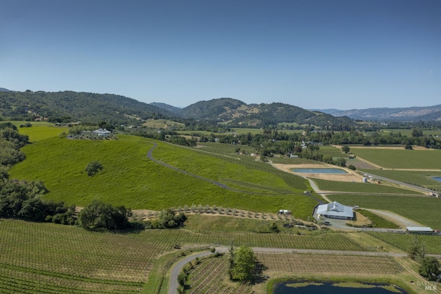 birds eye view of property with a rural view and a mountain view