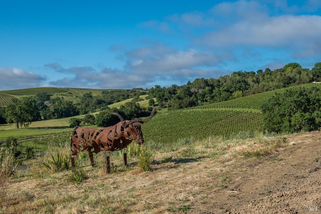 view of landscape with a rural view