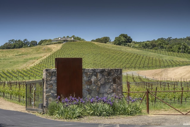 view of gate with fence and a rural view