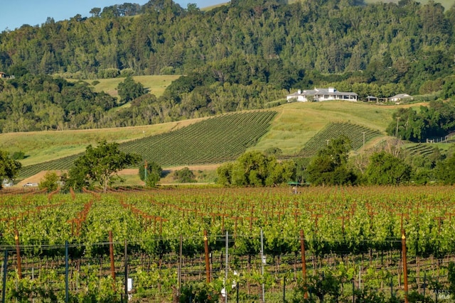 property view of mountains featuring a rural view