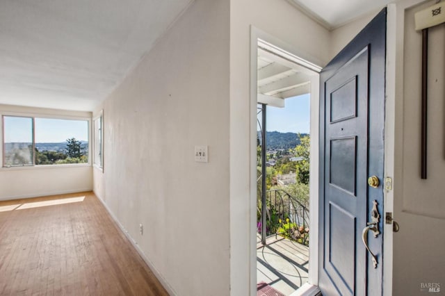 entrance foyer featuring baseboards and wood finished floors