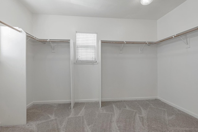 walk in closet featuring carpet flooring