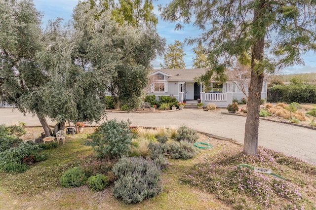 view of yard featuring a porch