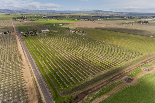 drone / aerial view with a rural view and a mountain view