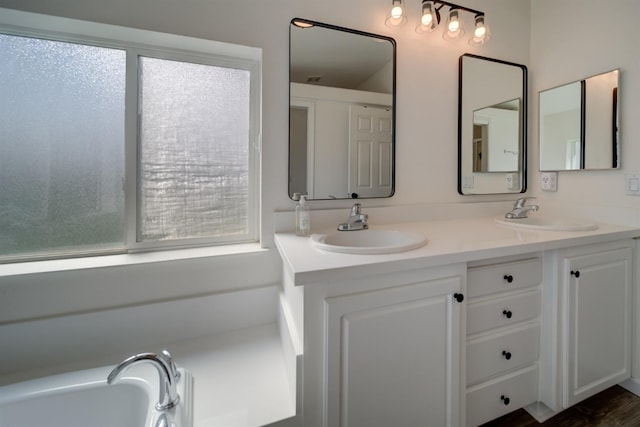 bathroom with a sink and double vanity