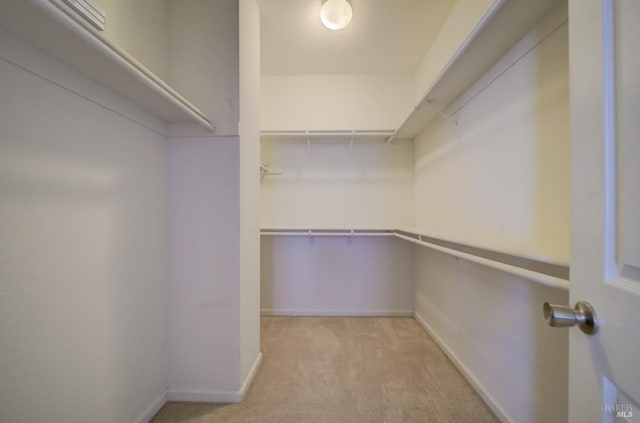 spacious closet featuring light carpet