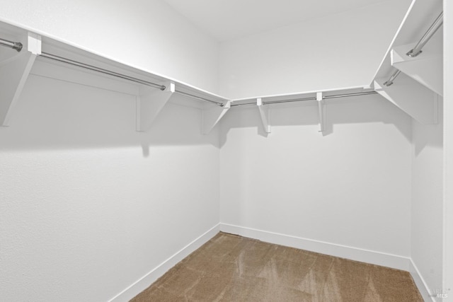 walk in closet featuring carpet flooring