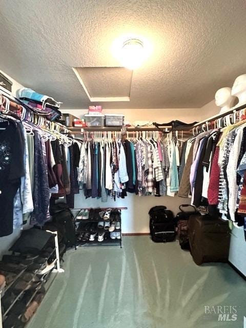 spacious closet featuring attic access and carpet flooring