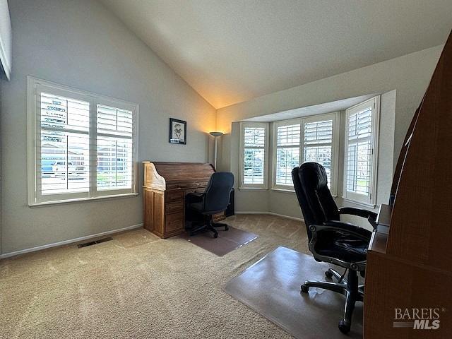 office space featuring a healthy amount of sunlight, visible vents, baseboards, and carpet flooring