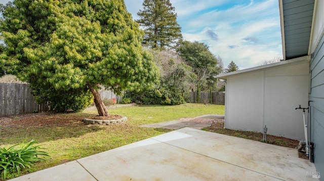 view of yard featuring a fenced backyard and a patio