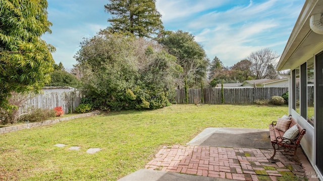 view of yard with a fenced backyard and a patio