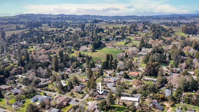 bird's eye view