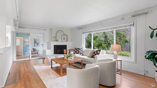 living room with a glass covered fireplace and light wood finished floors