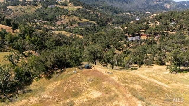 Listing photo 3 for 0 Franz Valley Rd, Santa Rosa CA 95404