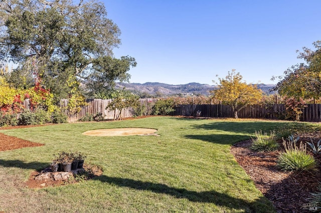 view of yard with a fenced backyard and a mountain view