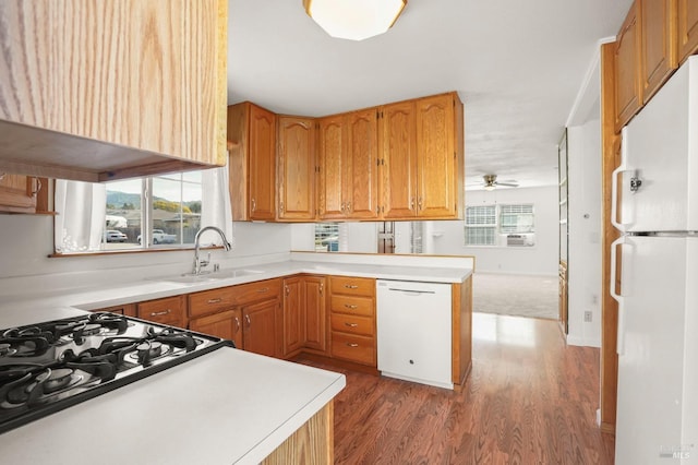 kitchen featuring dark wood-type flooring, white appliances, a healthy amount of sunlight, and a sink