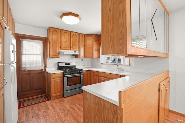 kitchen featuring stainless steel gas range oven, under cabinet range hood, a peninsula, a sink, and freestanding refrigerator