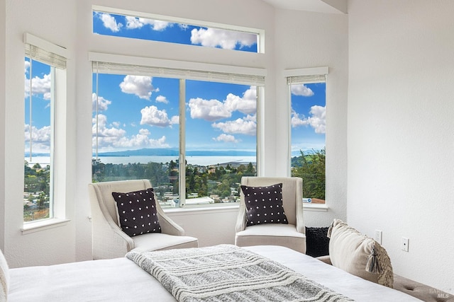 bedroom featuring a textured wall, multiple windows, and a water view