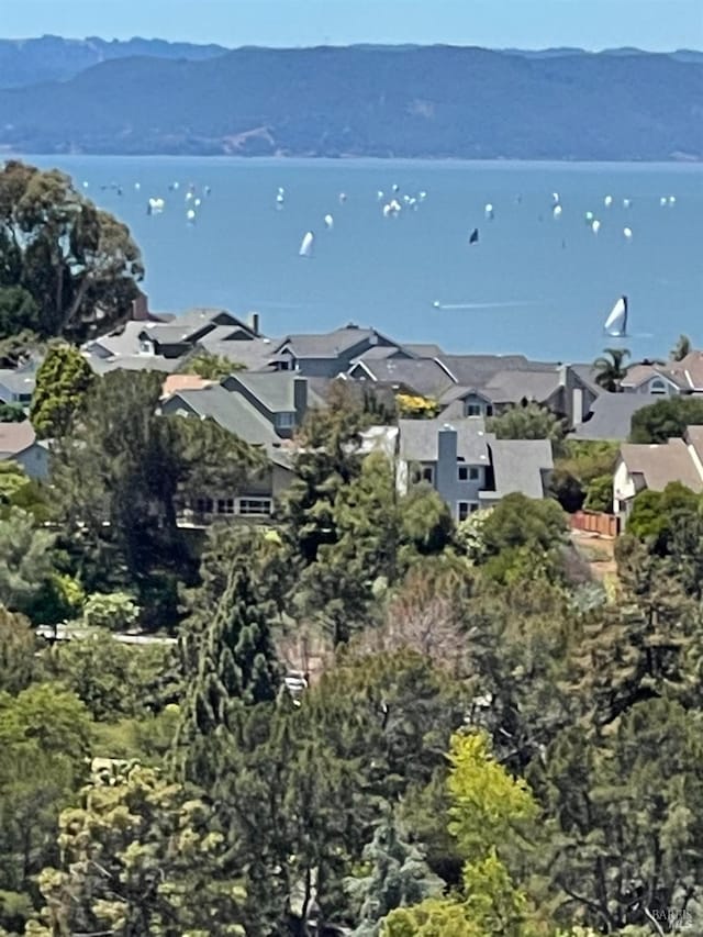 view of water feature with a residential view and a mountain view