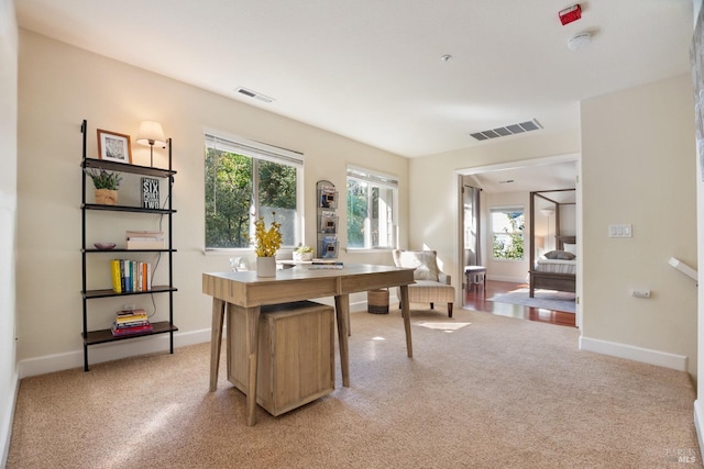 office space with light carpet, baseboards, and visible vents