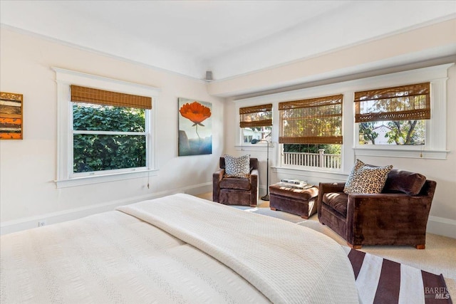 bedroom with baseboards