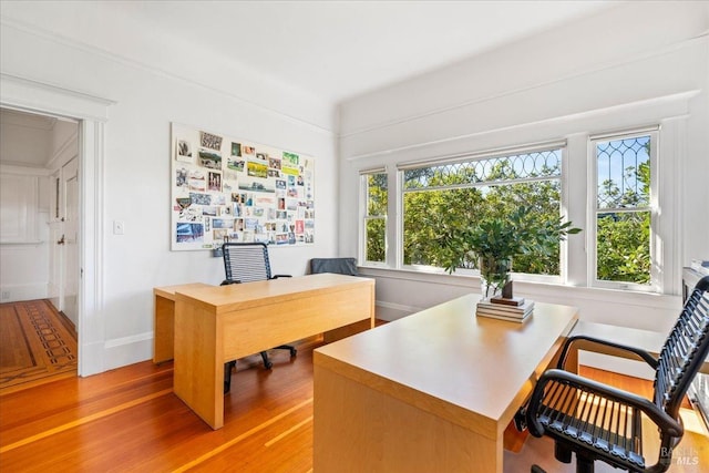 home office featuring a healthy amount of sunlight, light wood-style flooring, and baseboards