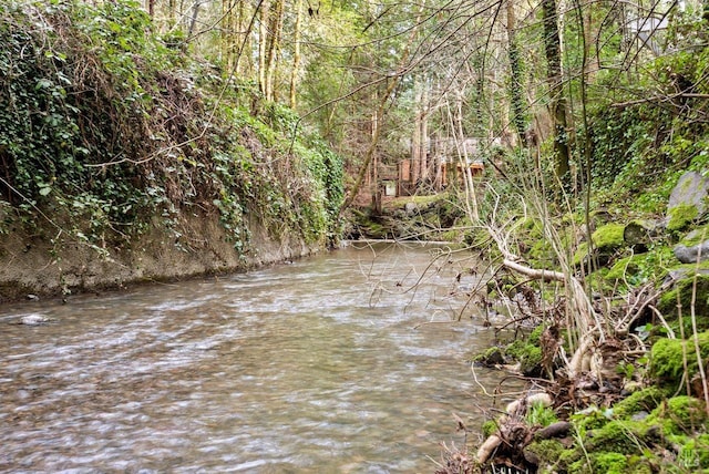 exterior space with a water view and a wooded view