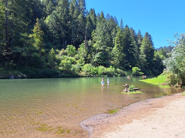 water view featuring a wooded view