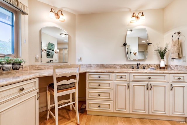 bathroom featuring wood finished floors and vanity