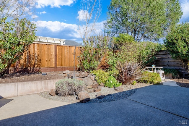 view of yard featuring fence private yard and a patio area