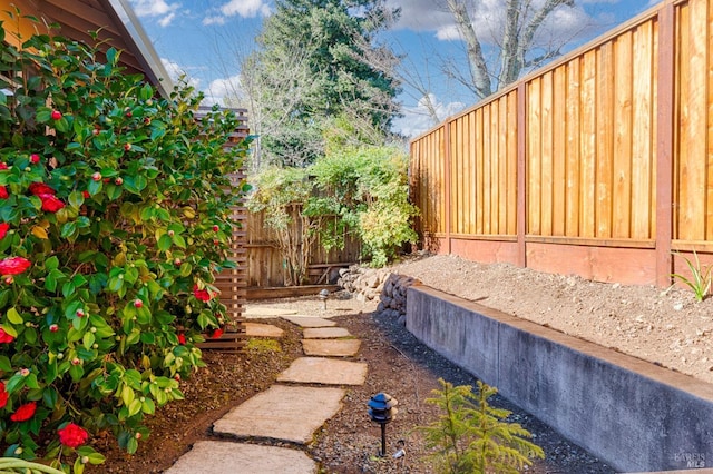 view of yard featuring a fenced backyard