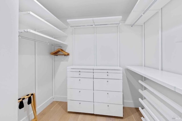 spacious closet with light wood-type flooring