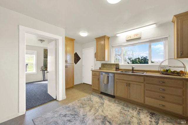 kitchen with a sink, a healthy amount of sunlight, light brown cabinets, and stainless steel dishwasher