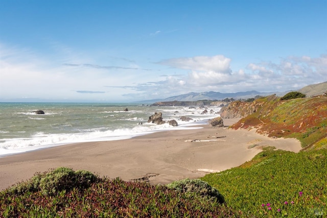 property view of water featuring a beach view