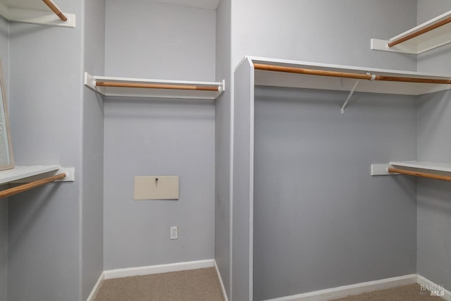 walk in closet with carpet floors