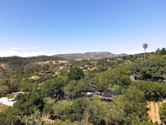 view of mountain feature featuring a wooded view