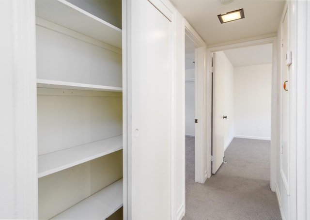 corridor with carpet floors