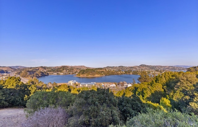 water view featuring a mountain view