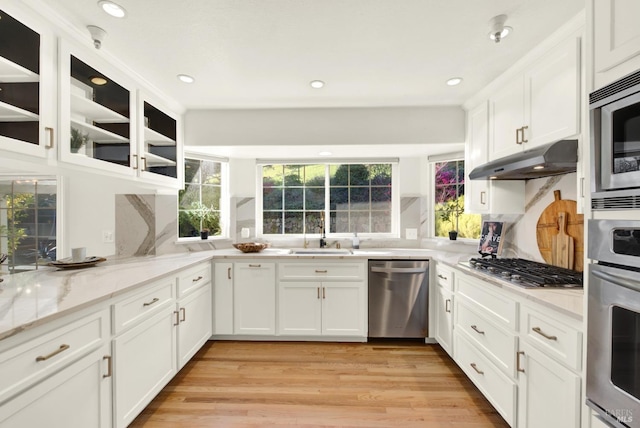 kitchen featuring appliances with stainless steel finishes, a healthy amount of sunlight, a sink, and under cabinet range hood