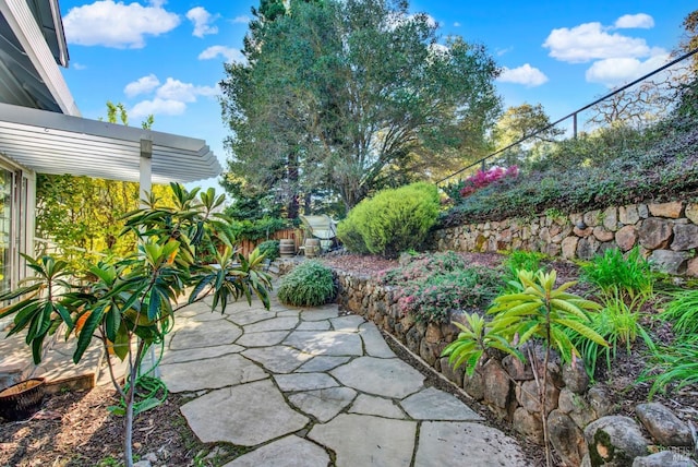 view of yard with a patio