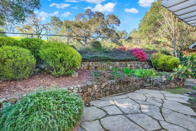 view of yard featuring a patio area