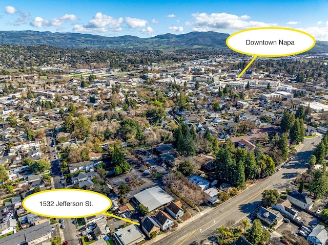 birds eye view of property featuring a mountain view