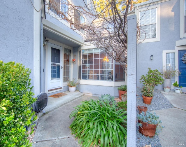 property entrance featuring stucco siding